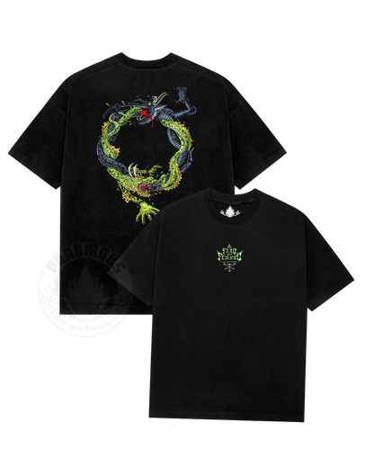 Playera Ferxxo VS Feid Green Print